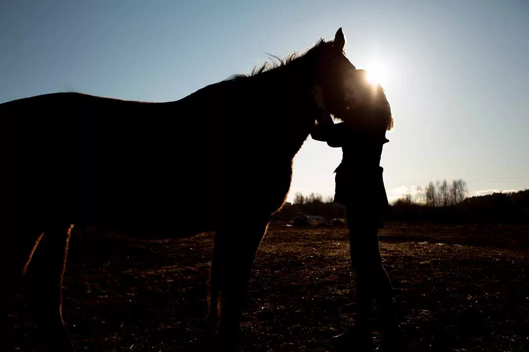 Conformation when selecting a horse