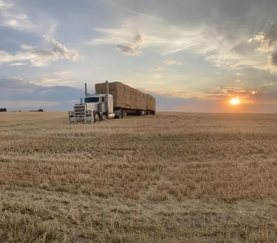 New Agriculture Charter School teaches hay farming